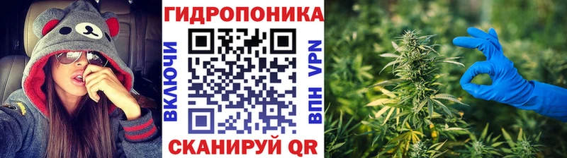 ГАШИШ Лесосибирск