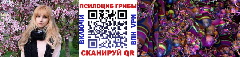 Купить закладки  Лесосибирск  Галлюциногенные грибы мицелий 